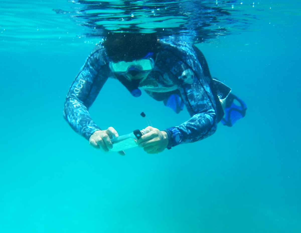 Waterproof Phone Case - Large - Image 9