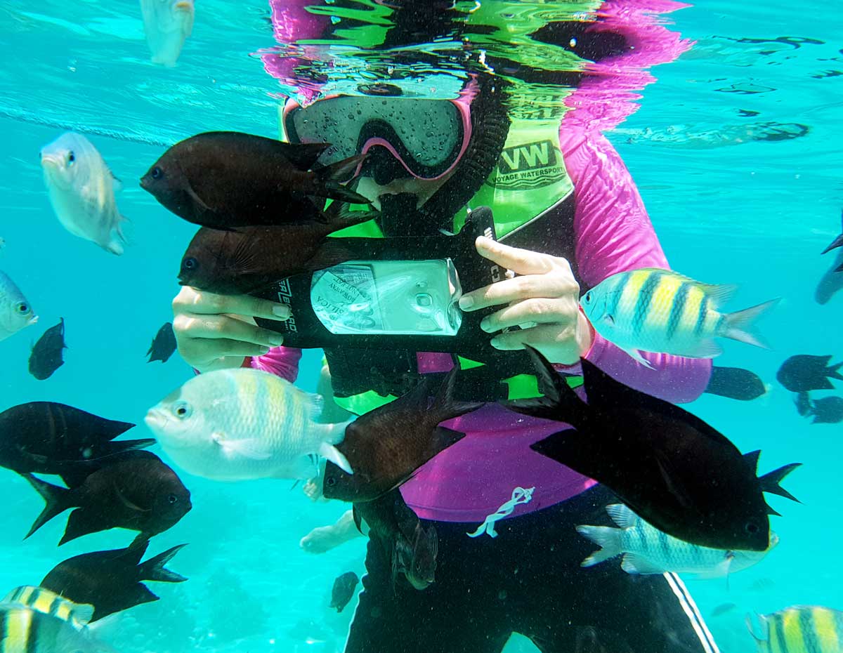 Waterproof Phone Case - Small - Image 11